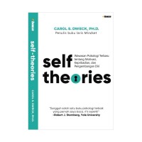 Image of Self Theories