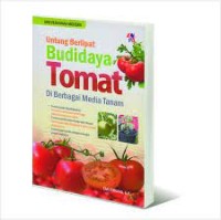 Image of Untung Berlipat Budidaya Tomat di berbagai Media Tanam